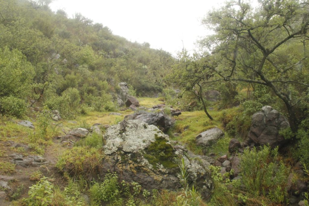 Paisaje de la Sierra, cortesía del grupo Veredeando Sierra de Guadalupe